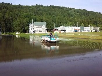 DSC_0453-b9a47.jpg