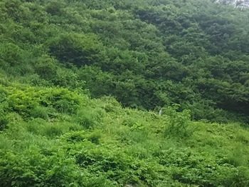 DSC_0480.jpg