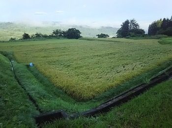 DSC_0761.jpg