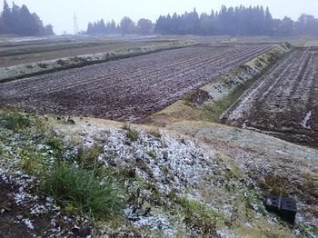 DSC_0876.jpg