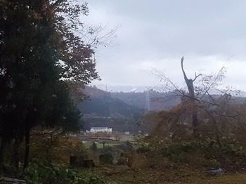 DSC_0878.jpg