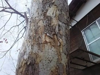 DSC_0894.jpg