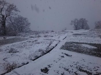 DSC_0932.jpg