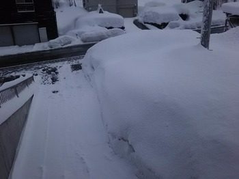 DSC_1045.jpg