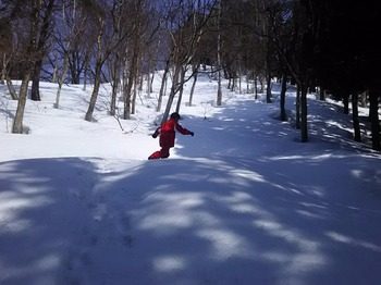 DSC_1146.jpg