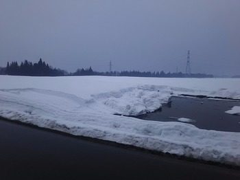 DSC_1152.jpg