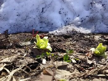 DSC_1197.jpg