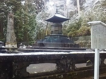 DSC_1240.jpg
