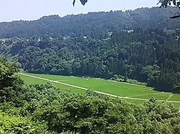 DSC_1498.jpg