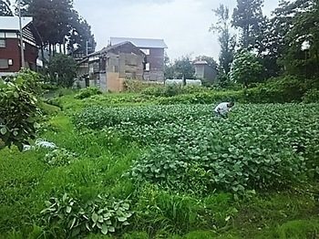DSC_1588.jpg