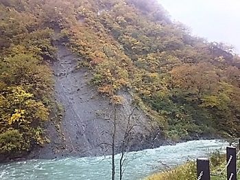 DSC_1699.jpg