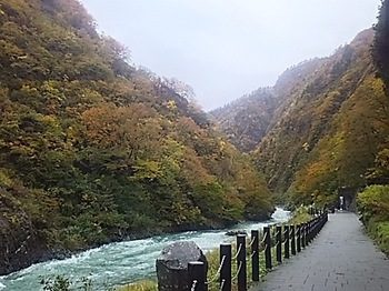 DSC_1700.jpg