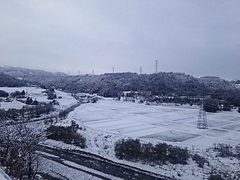 DSC_1725.jpg