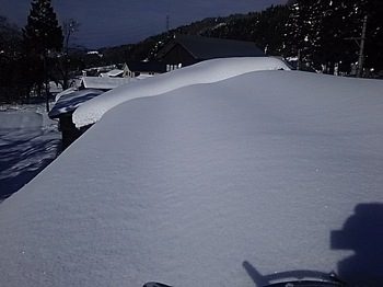 DSC_1786.jpg