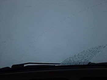 DSC_1795-c5ef3.jpg