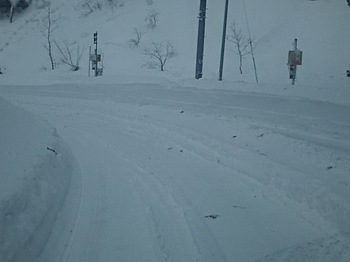 DSC_1798.jpg