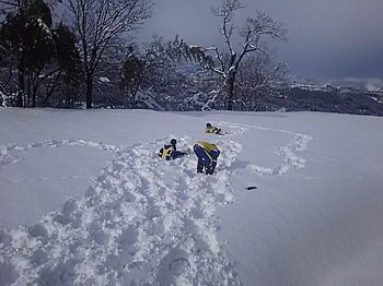 DSC_1869.jpg