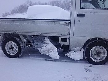 DSC_1874.jpg
