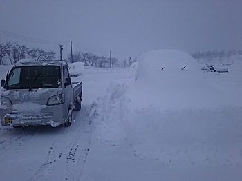 DSC_1875.jpg