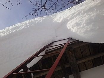 DSC_1880.jpg