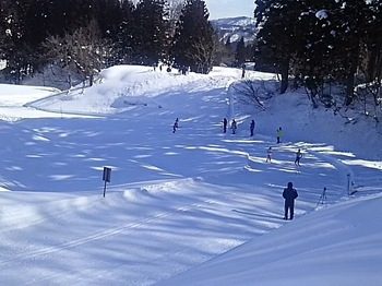 DSC_1905-ee19d.jpg