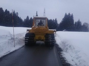 DSC_1973.jpg