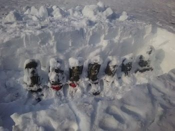DSC_1983.jpg