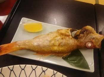 DSC_1984.jpg