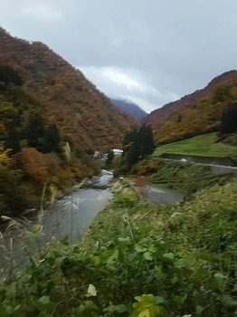 DSC_2516.jpg