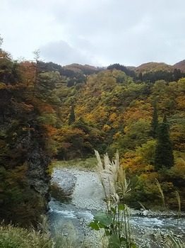 DSC_2517.jpg