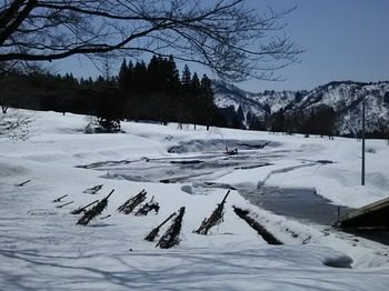 DSC_2777.jpg