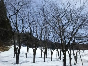 DSC_2779.jpg