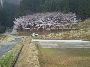 DSC_2880.jpg
