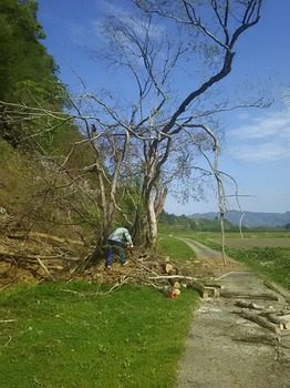 DSC_2926.jpg