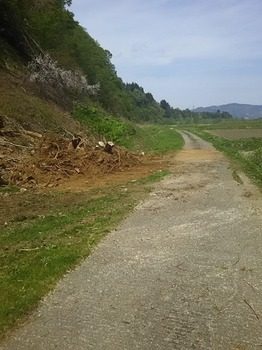 DSC_2929.jpg
