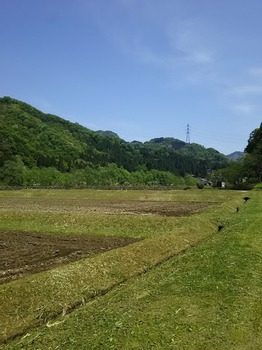 DSC_2953.jpg
