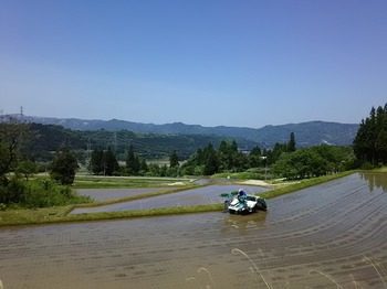 DSC_2971.jpg