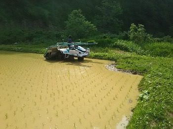 DSC_3041.jpg