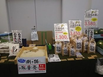 DSC_3141-e93d7.jpg