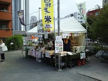 DSC_3271.jpg