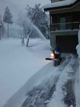 DSC_3485.jpg