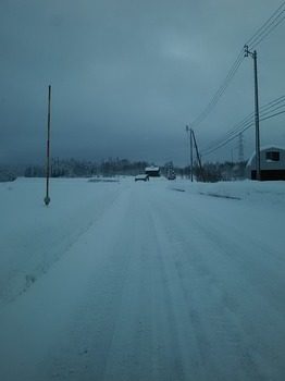 DSC_3490.jpg