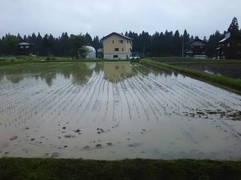 DSC_3757.jpg