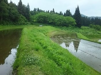 DSC_3778.jpg