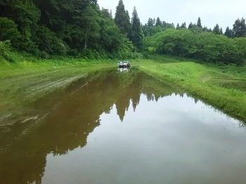 DSC_3779.jpg