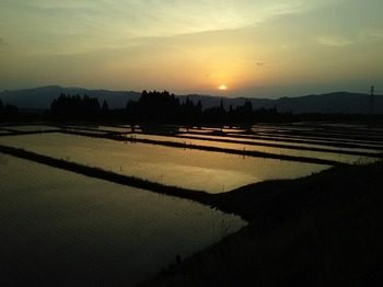 DSC_3813.jpg