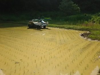 DSC_3823.jpg