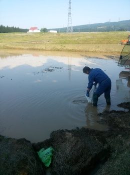 IMG01697.jpg