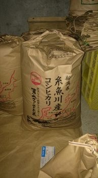IMG02130.jpg