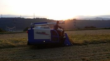 IMG02273.jpg